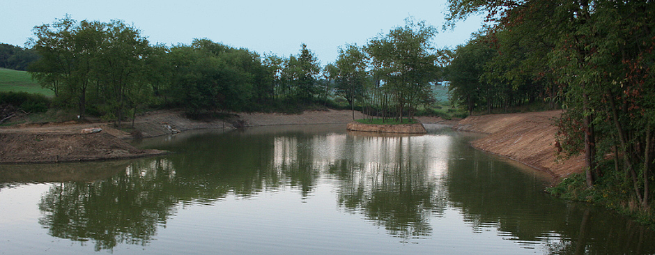 Pond Design and Installation